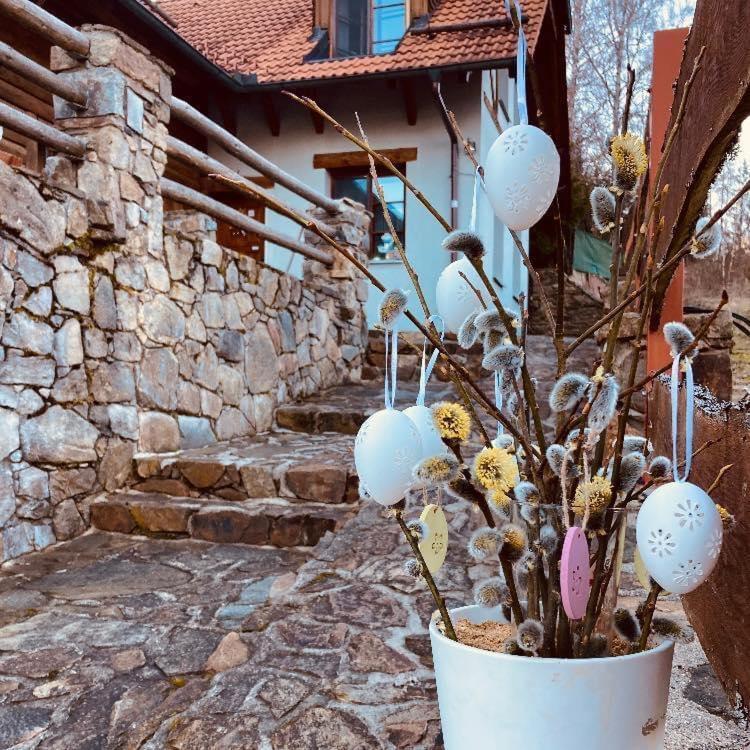 Apartmany Srub Jenisov Horní Planá Εξωτερικό φωτογραφία